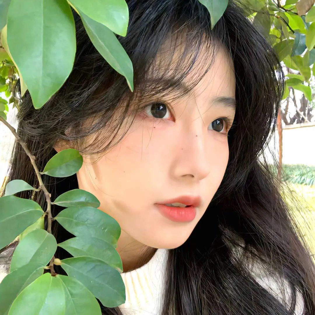 厨房的爱丽丝